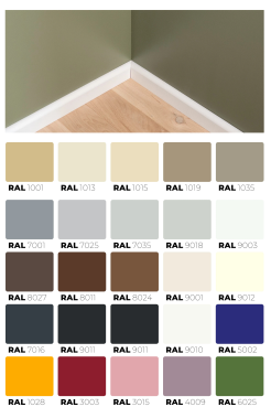 Plinthes Bouleau  SÉLECTION DE COULEUR 24x80 mm laqué RAL 2m avec rayon 20mm